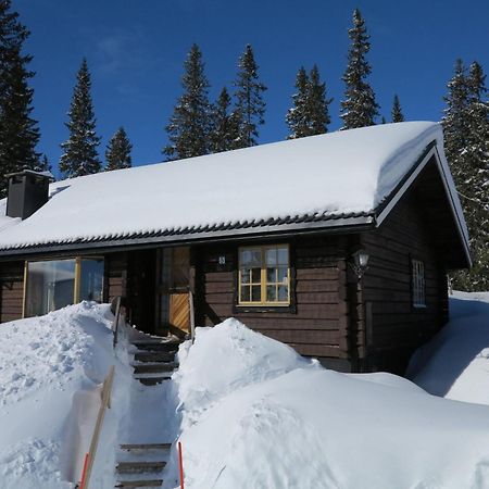Chalet Korpstigen Aelgen - Dan075 By Interhome 萨伦 外观 照片